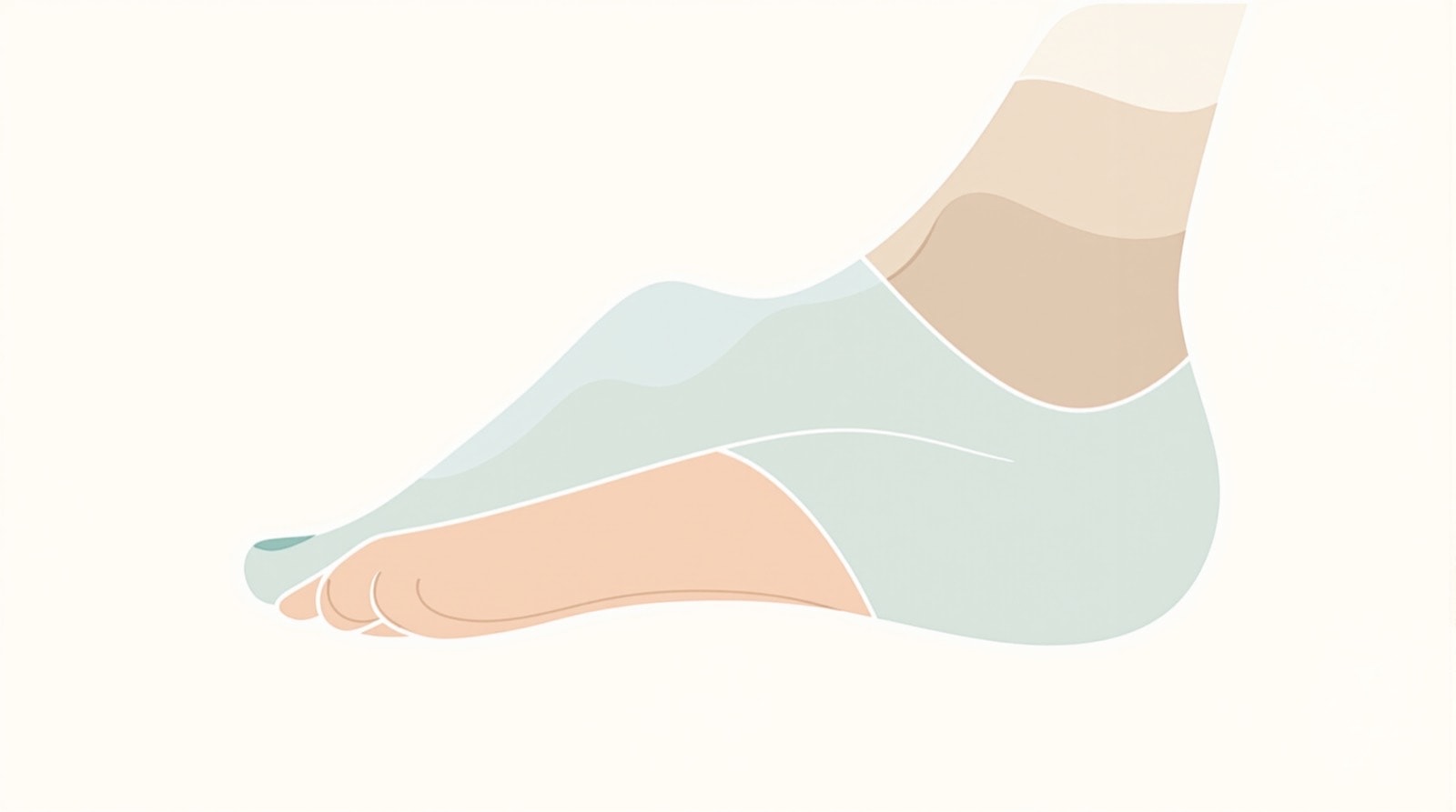 Stylised illustration of a human foot in side profile in soft teal and sand tones